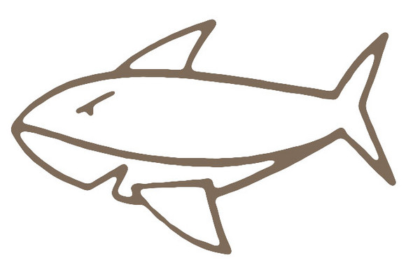 儿童画简笔画教程:教你如何画鲨鱼
