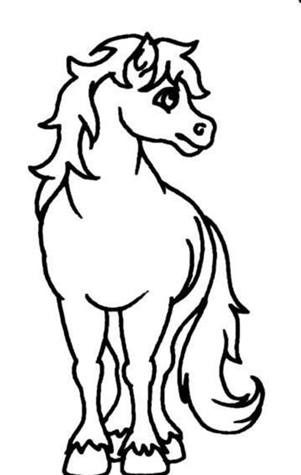 8张白龙马的简笔画 可爱的儿童动物diy简笔画
