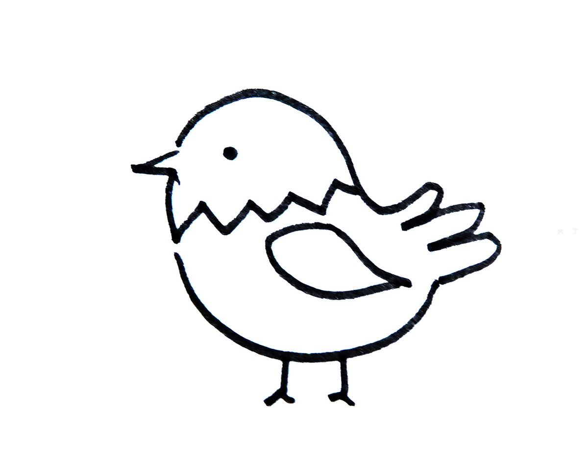 手绘鸟图片素材免费下载 - 觅知网