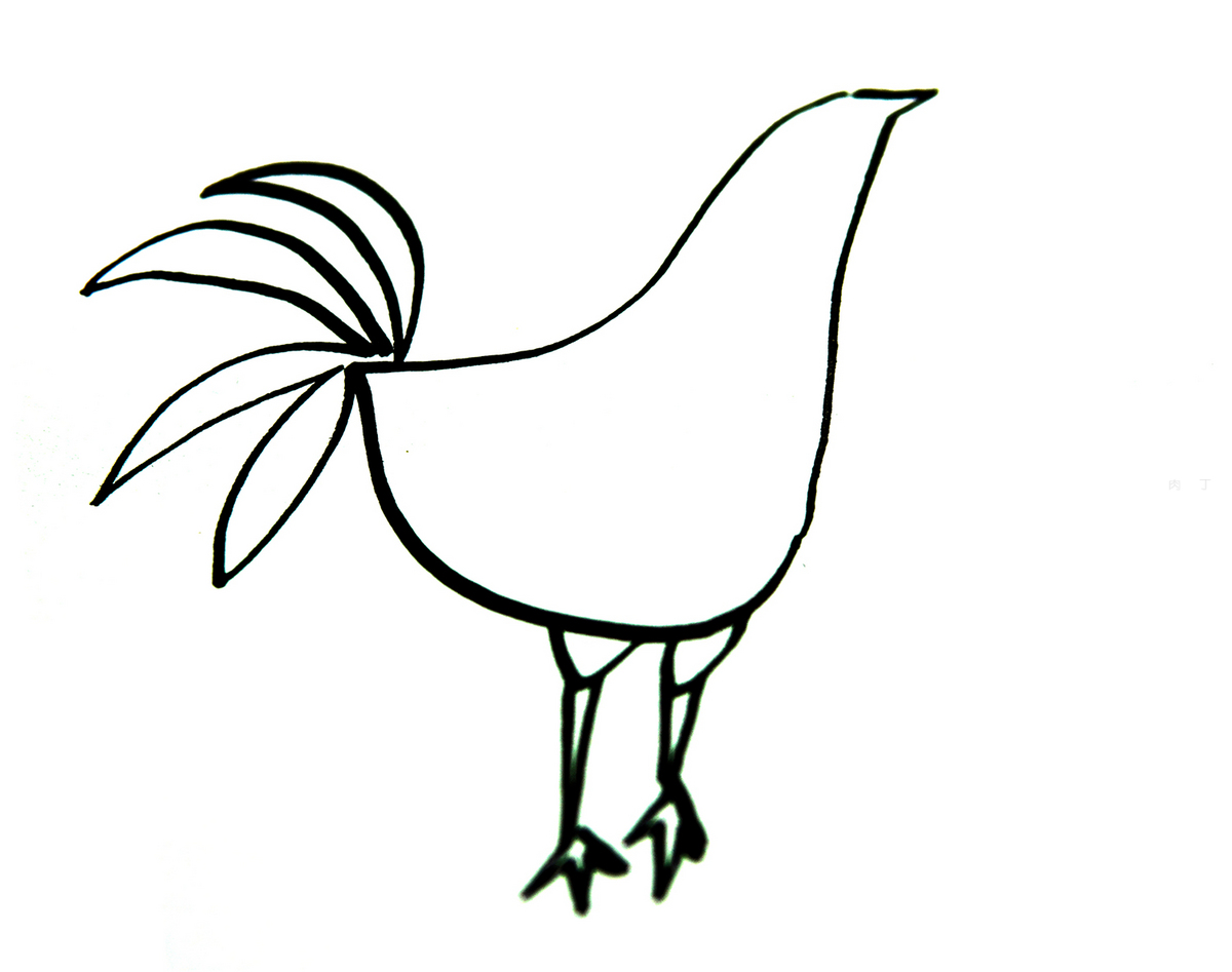 漂亮大公鸡简笔画画法图片步骤💛巧艺网