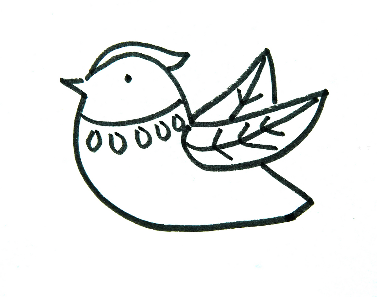 即将飞行的小鸟简笔画画法图片步骤 巧巧简笔画