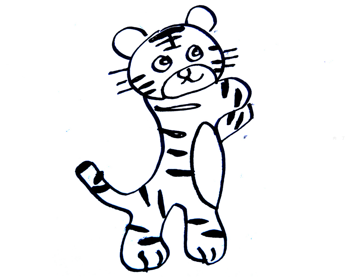 一步一步教你画小老虎的画法图解教程 简笔画图 - 有点网 - 好手艺