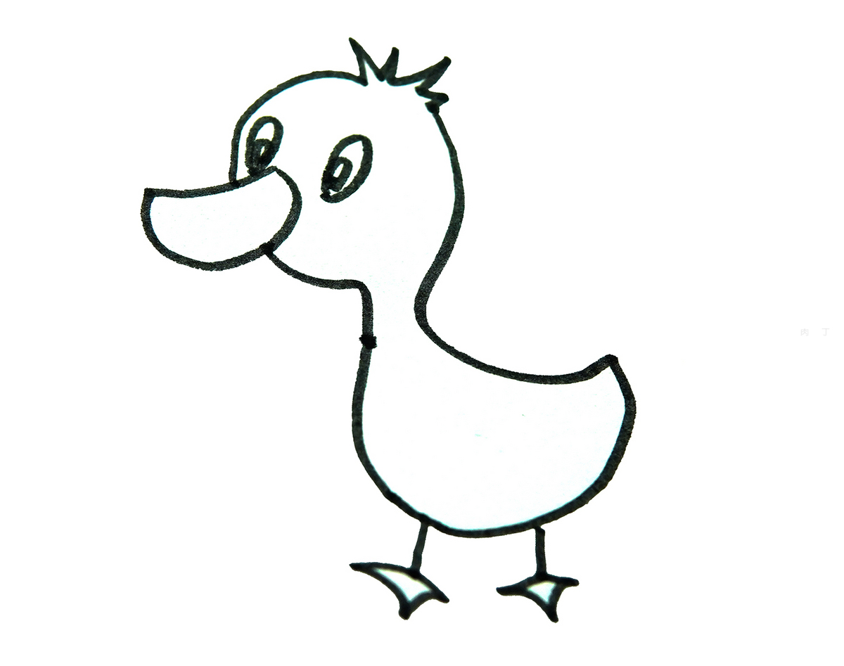 色彩小鸭子的画法教程 简单简笔画💛巧艺网