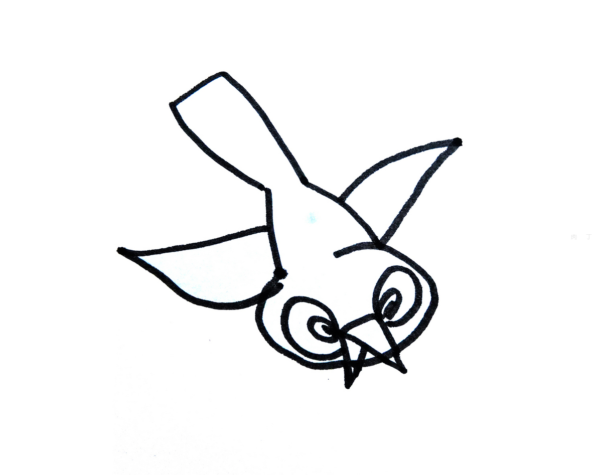 彩色铅笔画步骤教程：灰色文鸟的画法 _特特日安-站酷ZCOOL
