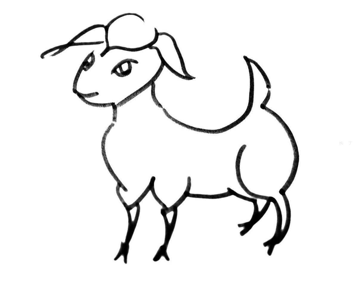 少儿8一12岁画画 可爱简笔画山羊怎么画过程图💛巧艺网