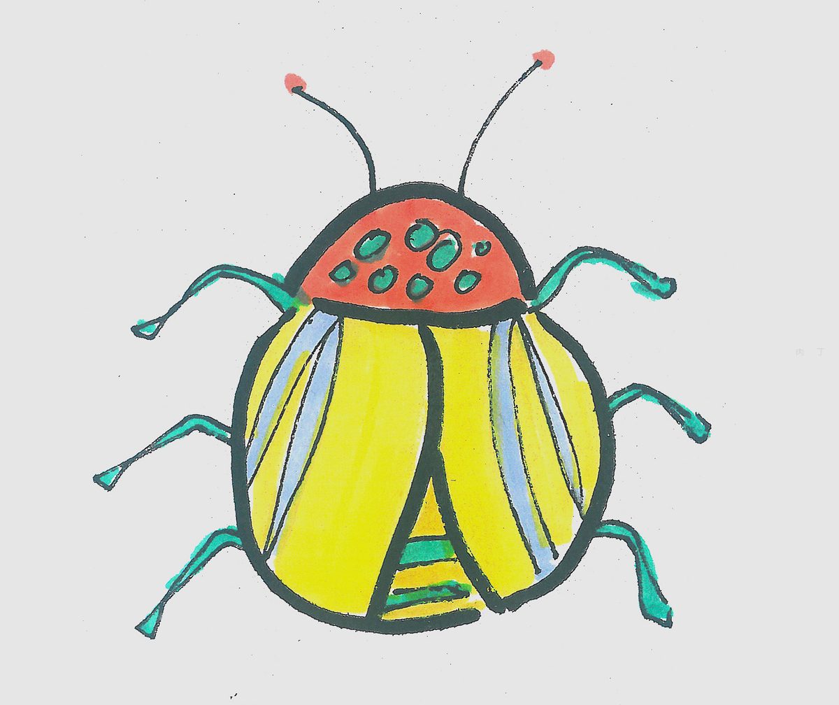 昆虫简笔画 - 堆糖，美图壁纸兴趣社区