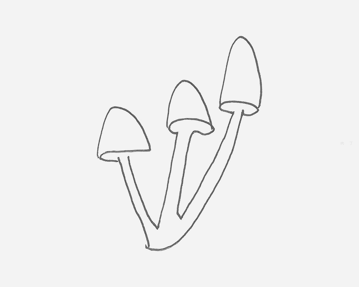 简笔画简笔画蘑菇涂色蘑菇的画法分步教程 肉丁儿童网