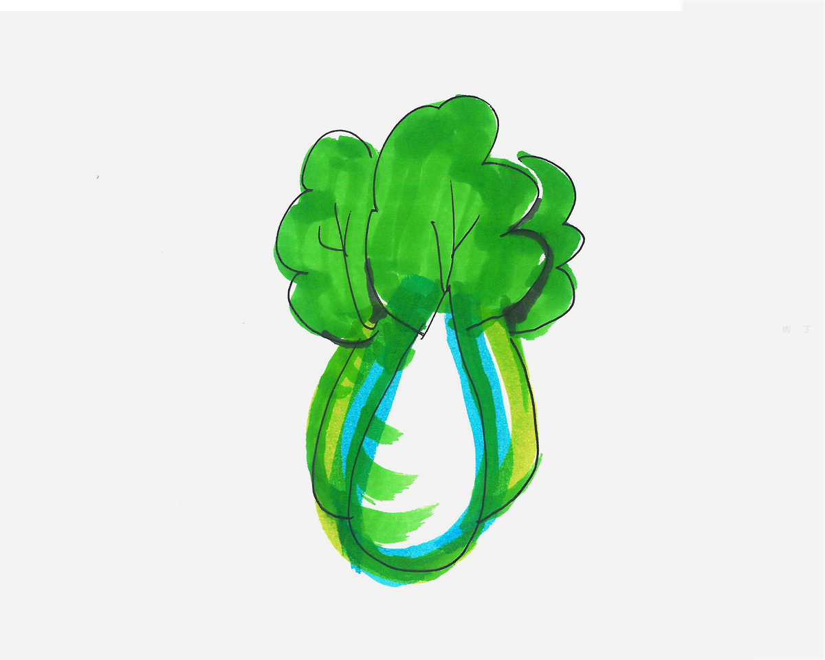 白菜简笔画 儿童绘画_蔬菜简笔画