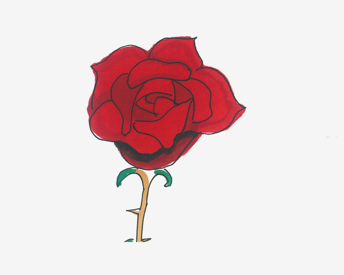钢笔画-玫瑰|插画|插画习作|alicecz - 原创作品 - 站酷 (ZCOOL)