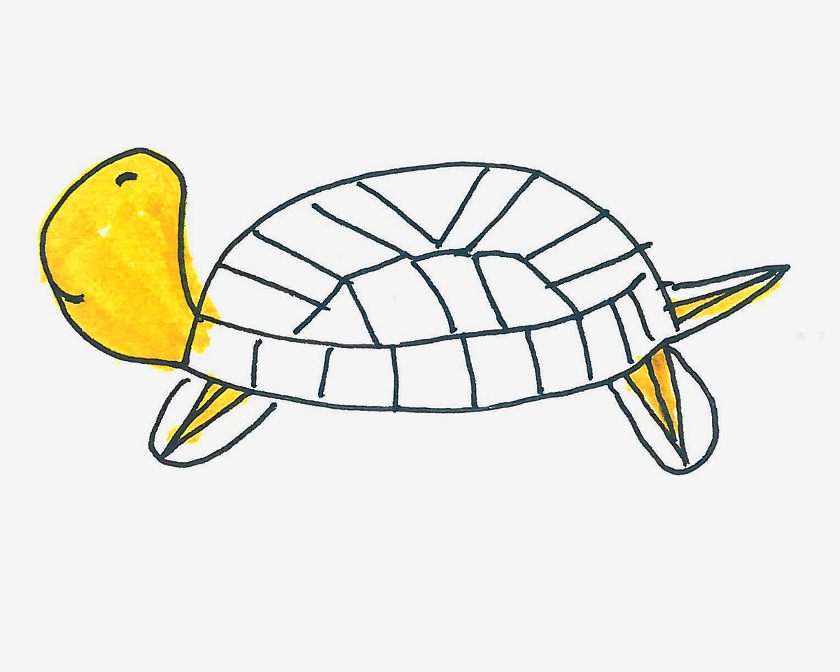 简单儿童画大全 好看简笔画乌龟的画法过程图 肉丁儿童网