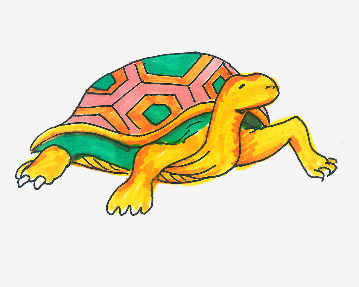 教你画一张可爱的小乌龟简笔画 儿童创意简笔画 肉丁儿童网