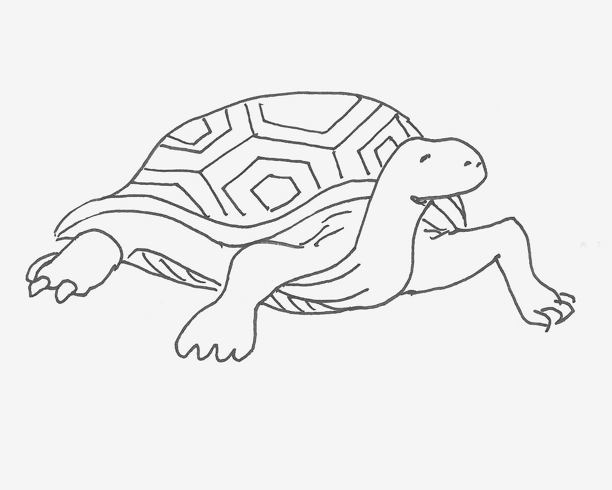 正面的乌龟简笔画画法图片步骤 - 有点网 - 好手艺