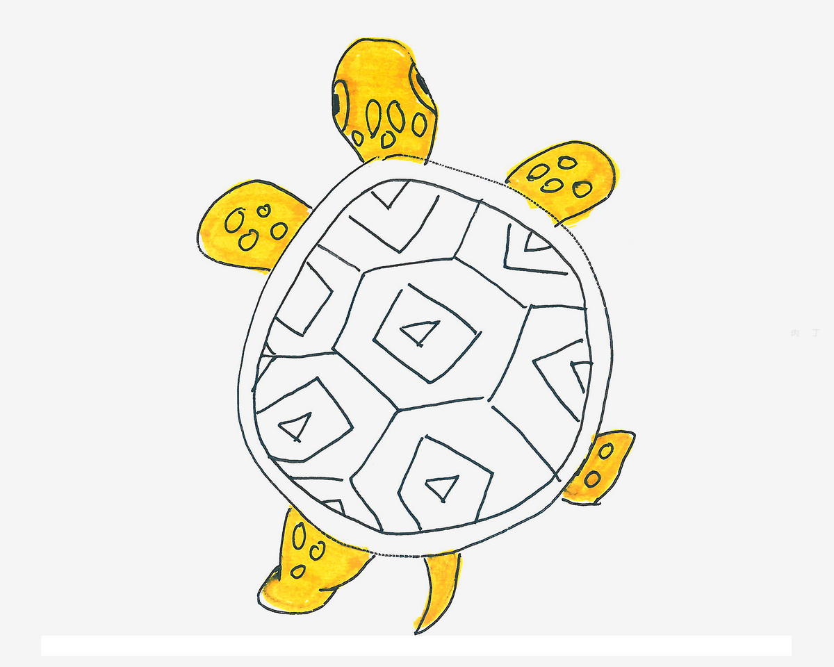 儿童小动物简笔画图片大全 怎么画乌龟简笔画图解 - 有点网 - 好手艺